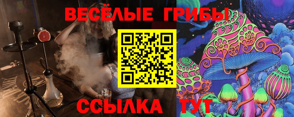 Псилоцибиновые грибы мицелий  купить  сайты  Лениногорск  Вход с VPN 