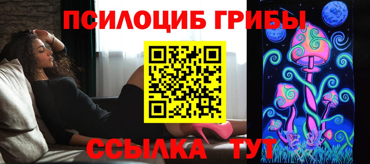 Псилоцибиновые грибы GOLDEN TEACHER Лениногорск